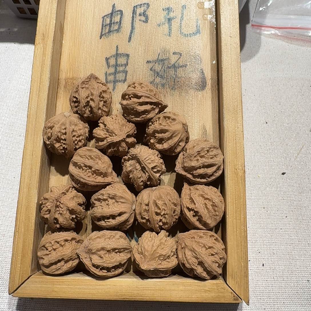 核桃手串/手链45号边23手串