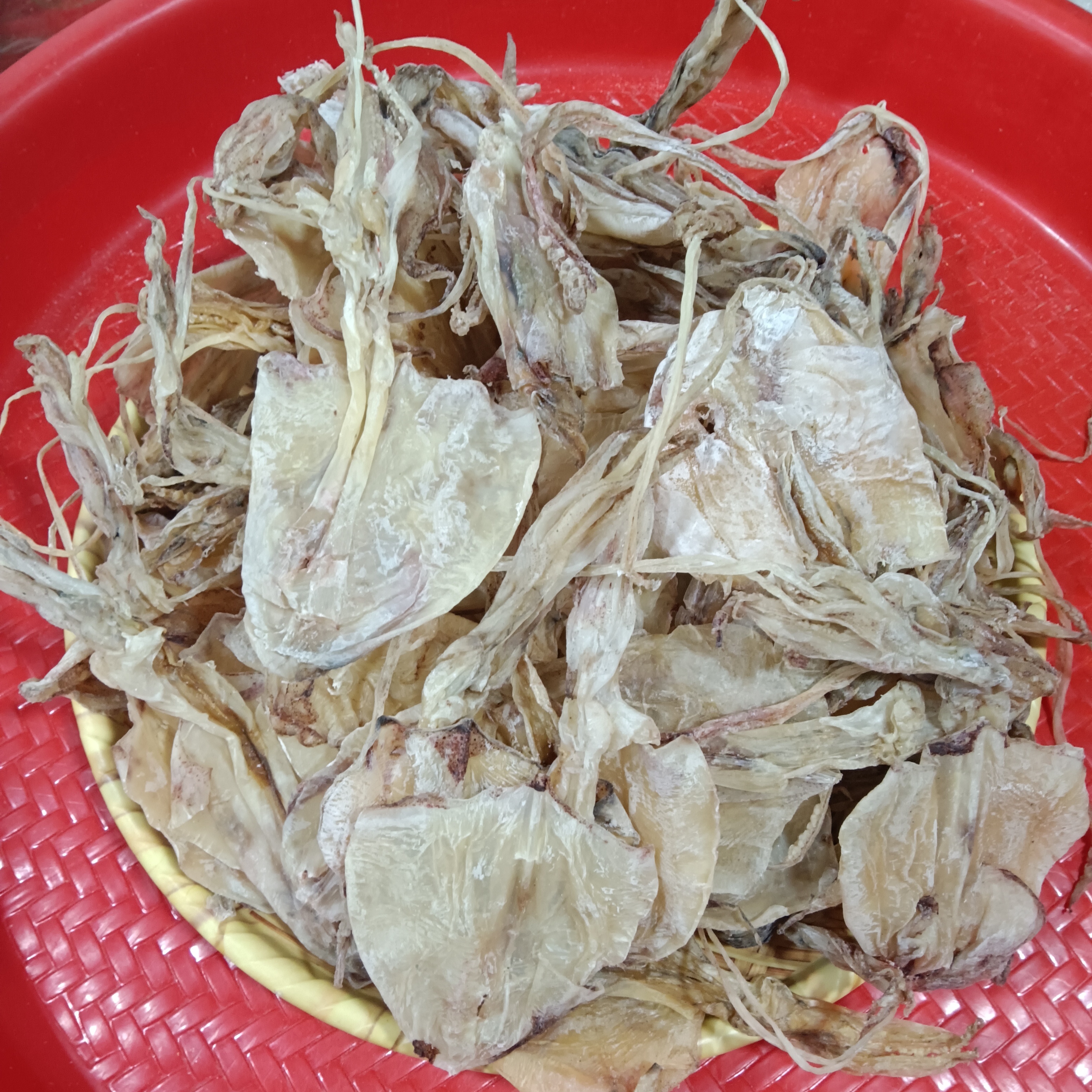 本港鱿鱼干就船双拖(小鱿干)海鲜干货