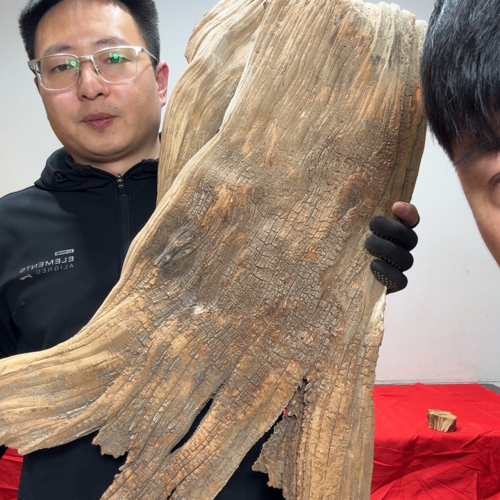 金***遗香榧木客服18832259591