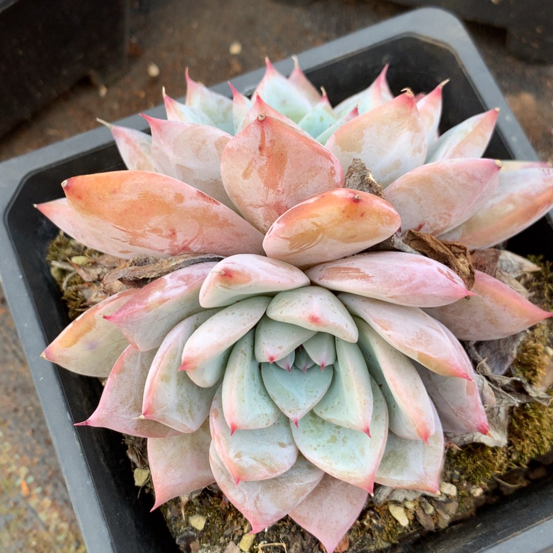 7841新年快乐发发发