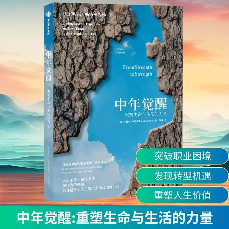 中年觉醒：重塑生命与生活的力量 阿瑟．C．布鲁克斯著