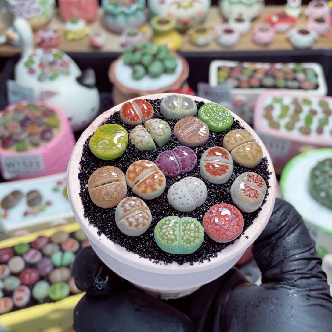 夜间零下地区拍保温箱w1529