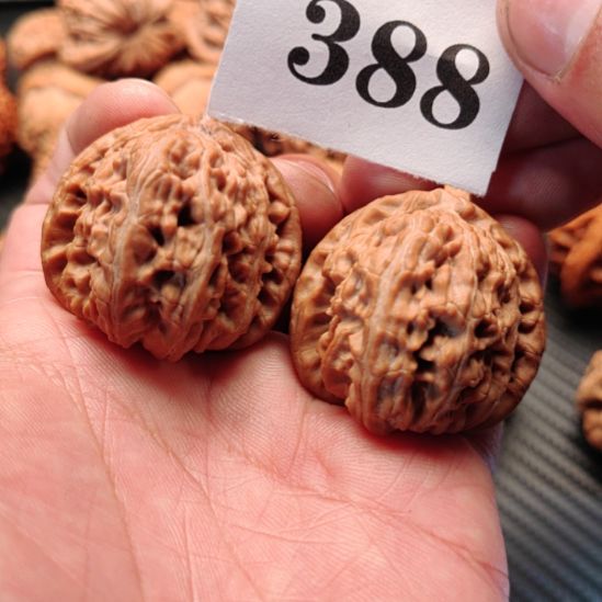 文玩核桃把件37全品三角白