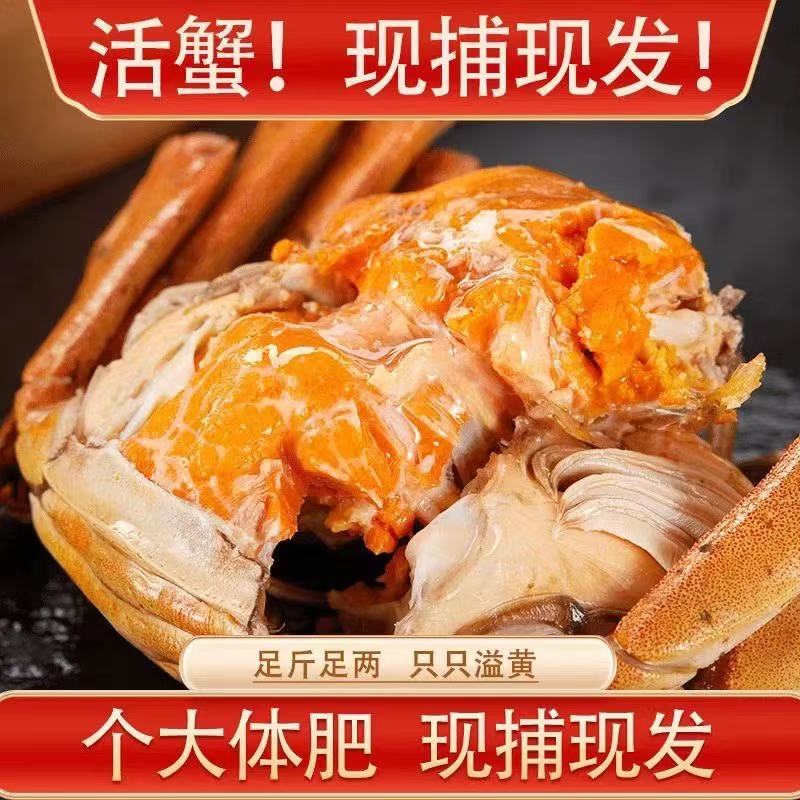 【活蟹现发】4.1-3.9两公蟹3.1-2.9两母蟹苏州大闸蟹十只礼盒装鲜活