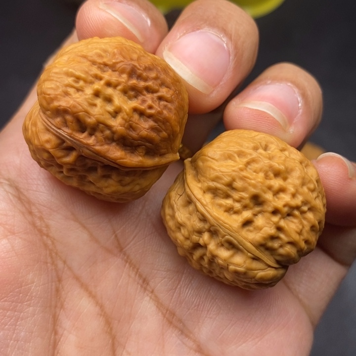 文玩核桃吊坠30尺小青蛙