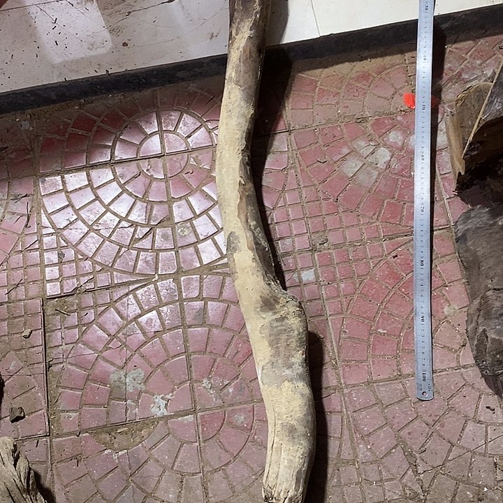 乌木类锦*金丝楠木小叶