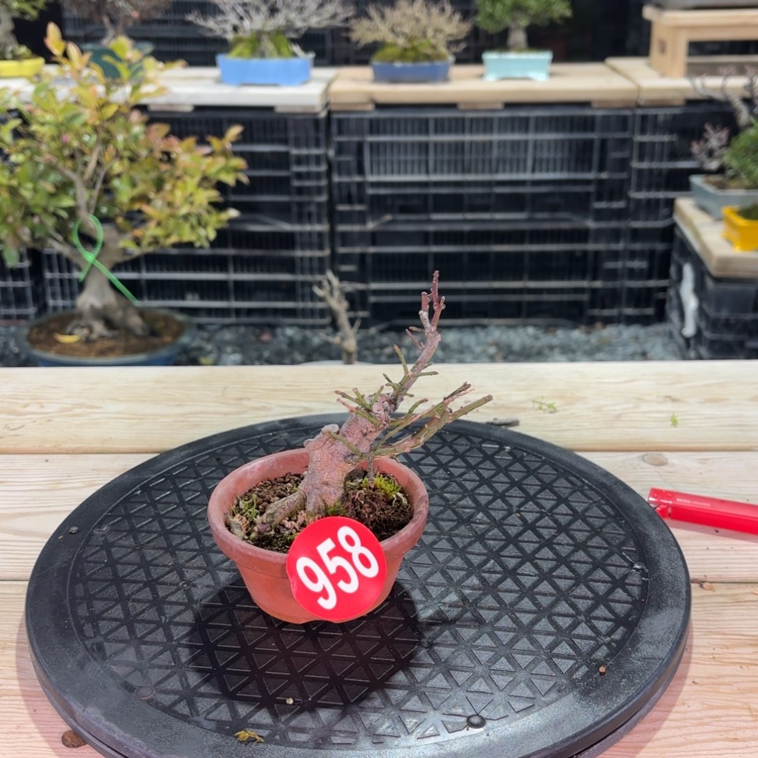 一***鉨新年快乐958号包邮