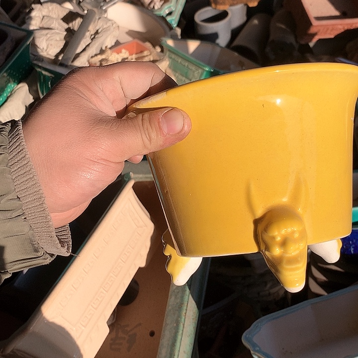 紫砂我要努力去实现了