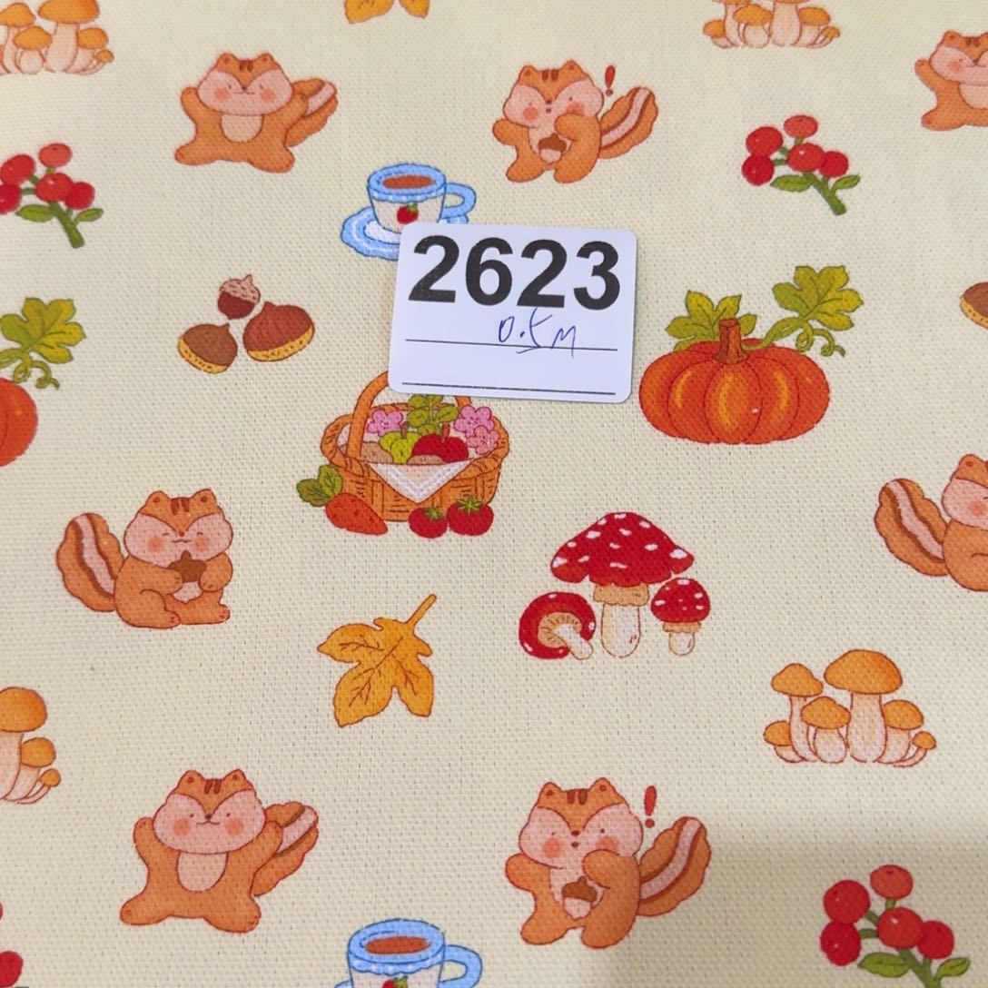 棉纯棉定制帆布0.5米价X1.5米宽块福利