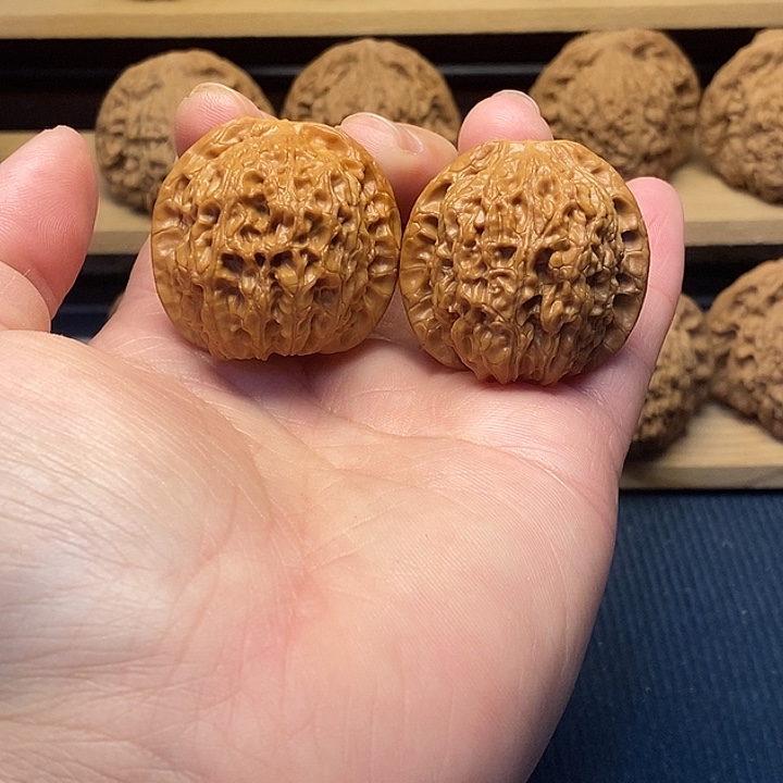 核桃37血麒麟福利核桃