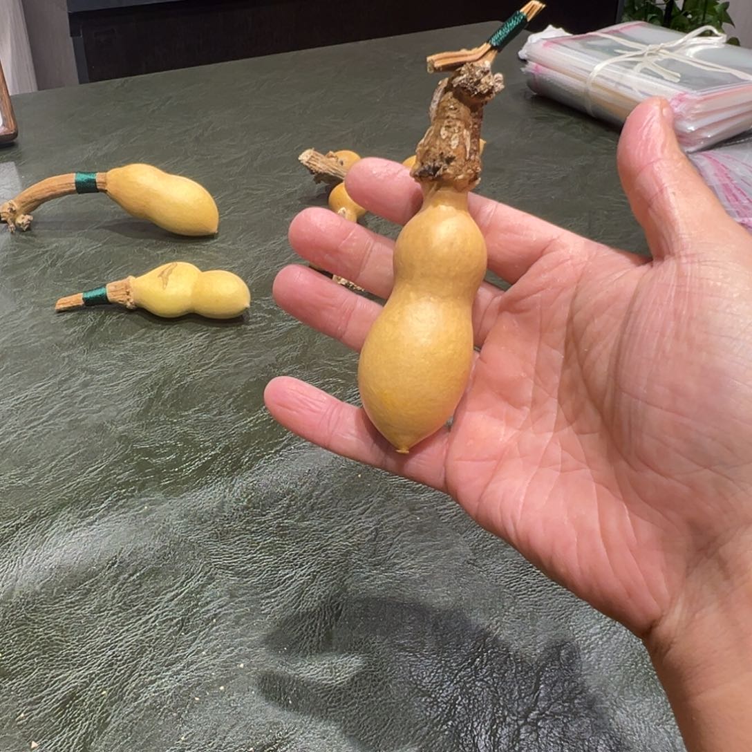 老***董季报显示的是一个月内