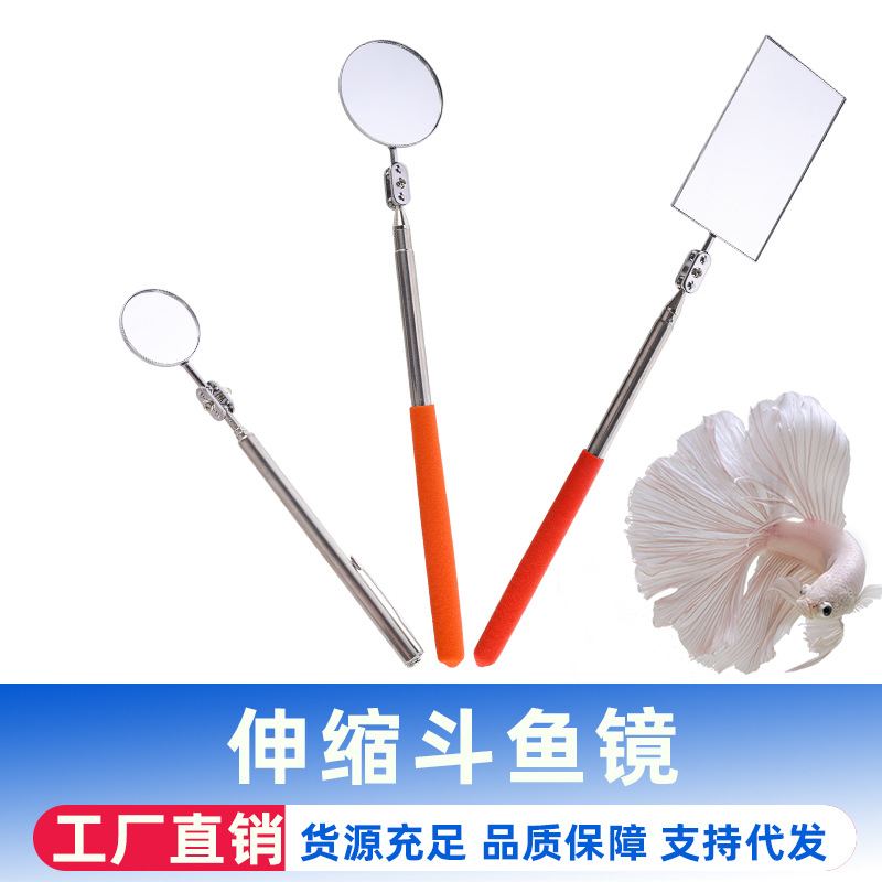 折叠伸缩斗鱼镜雷龙镜子水族箱鱼缸逗鱼工具斗鱼展尾雷龙咬缸训练