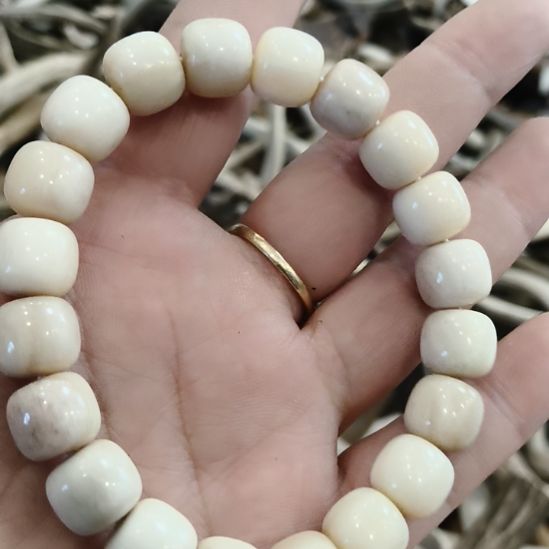 鹿角鹿角鹿角鹿角鹿角