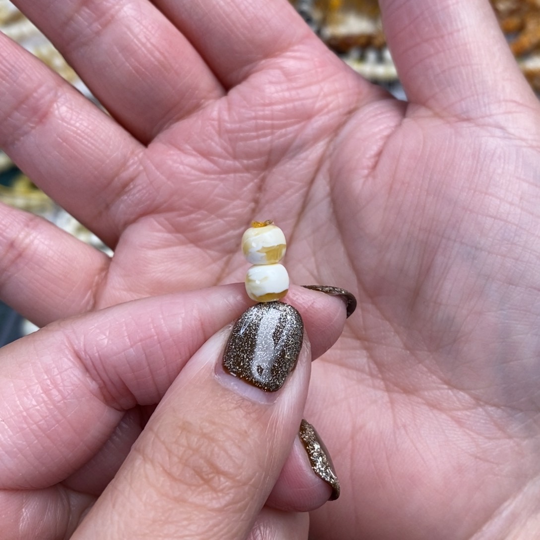 琥珀裸石未镶嵌金溶洞老型对珠6.5