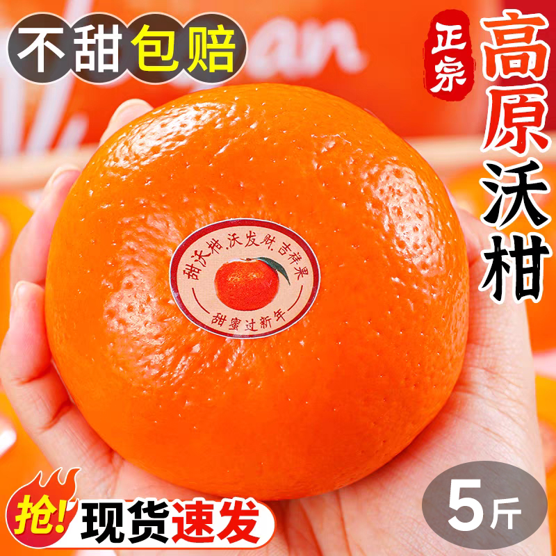 云南沃柑5斤现摘现发当季高原薄皮沃柑新鲜水果冰糖纯甜无渣橘子