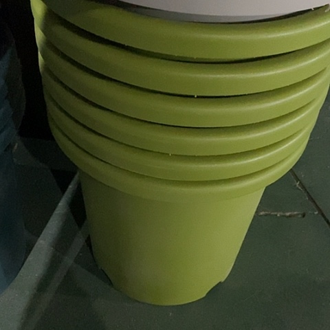 树脂四季7号微瑕果绿无托6个