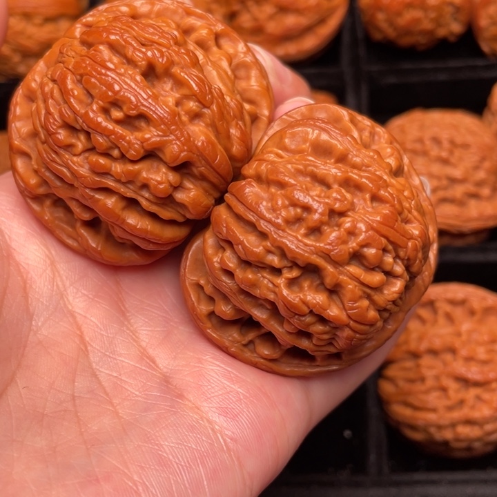 野生核桃核桃文玩