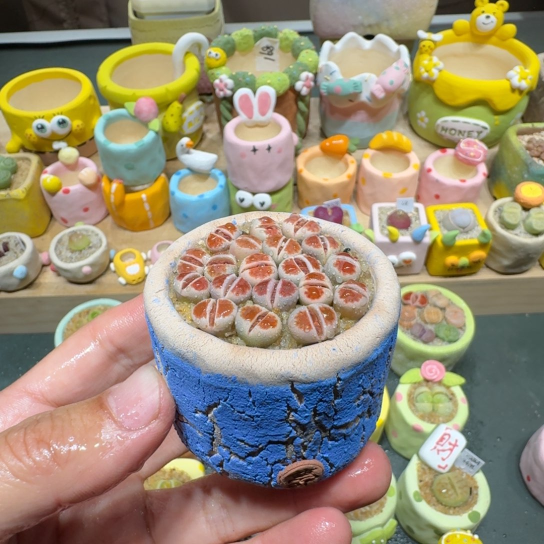 红陶蘑菇230红窗