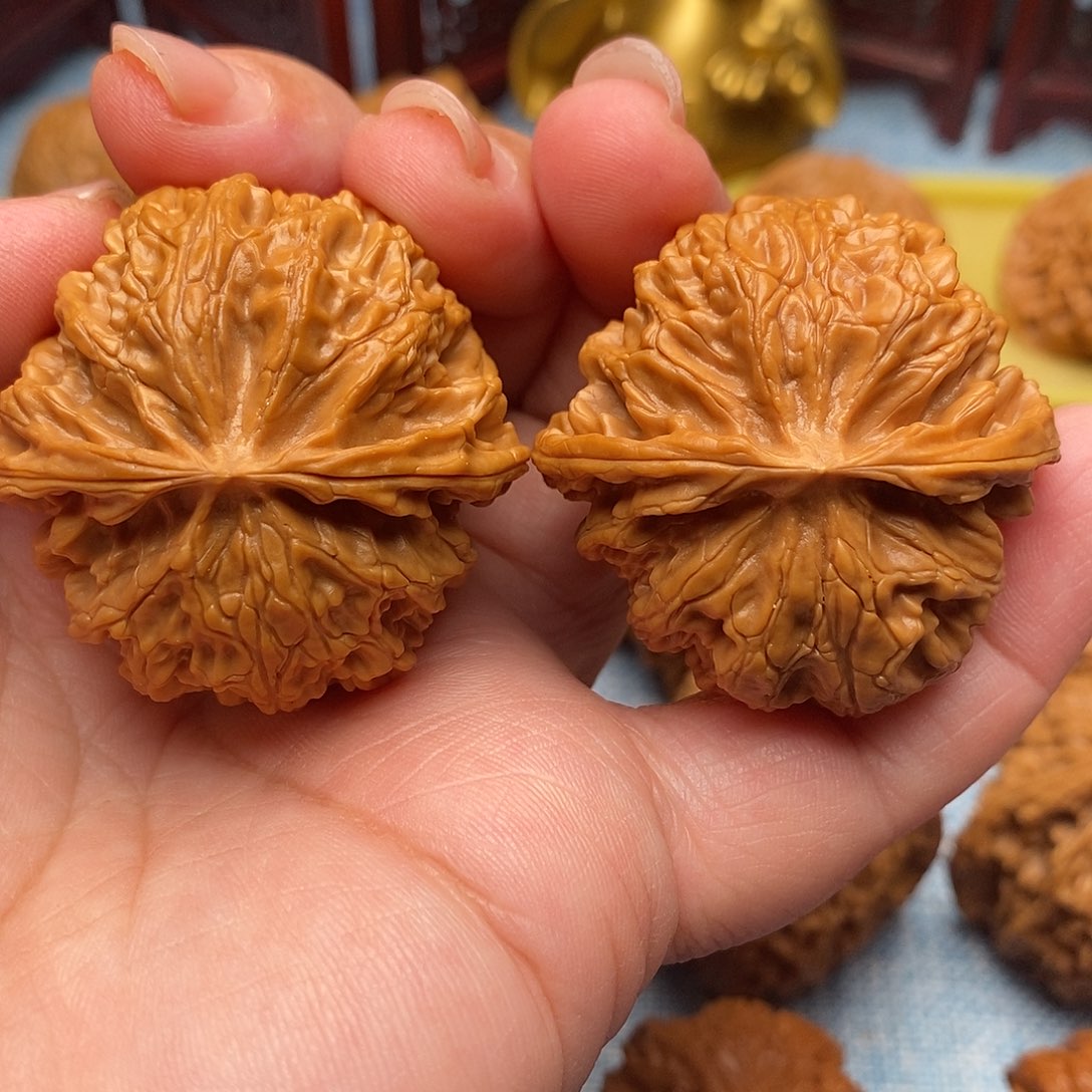 文玩核桃把件40全品毕业苹果园