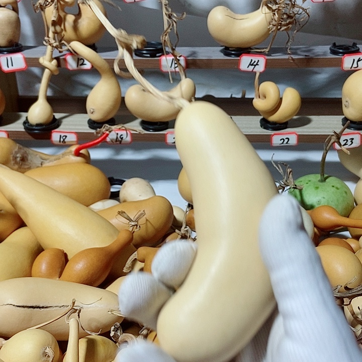 淘***猫直播间里的拍品链接