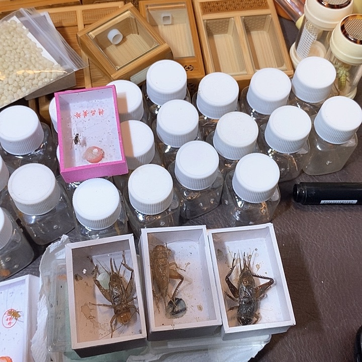 金***娃饲料随单一包