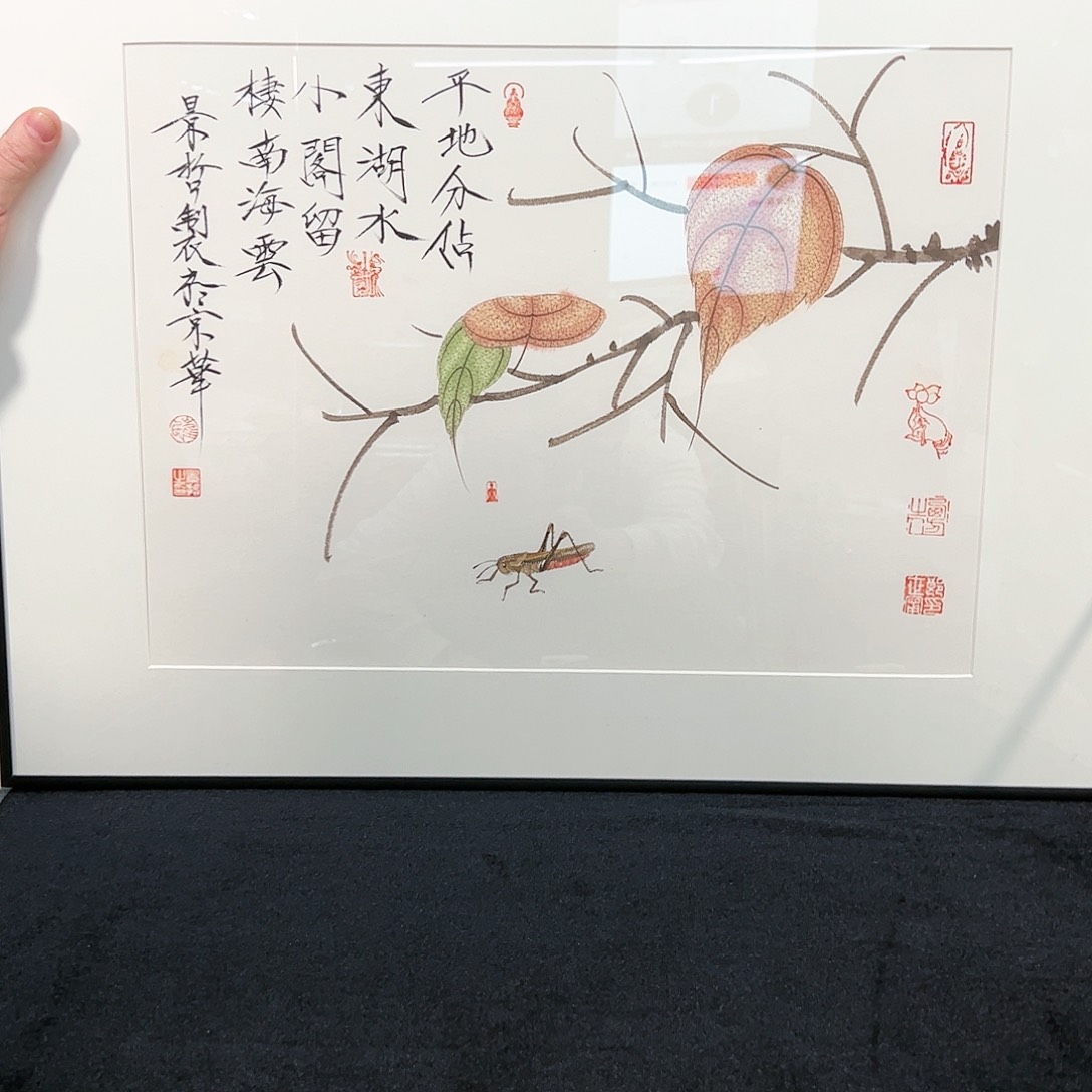 国画洋*海（g94610）工笔草虫 书画