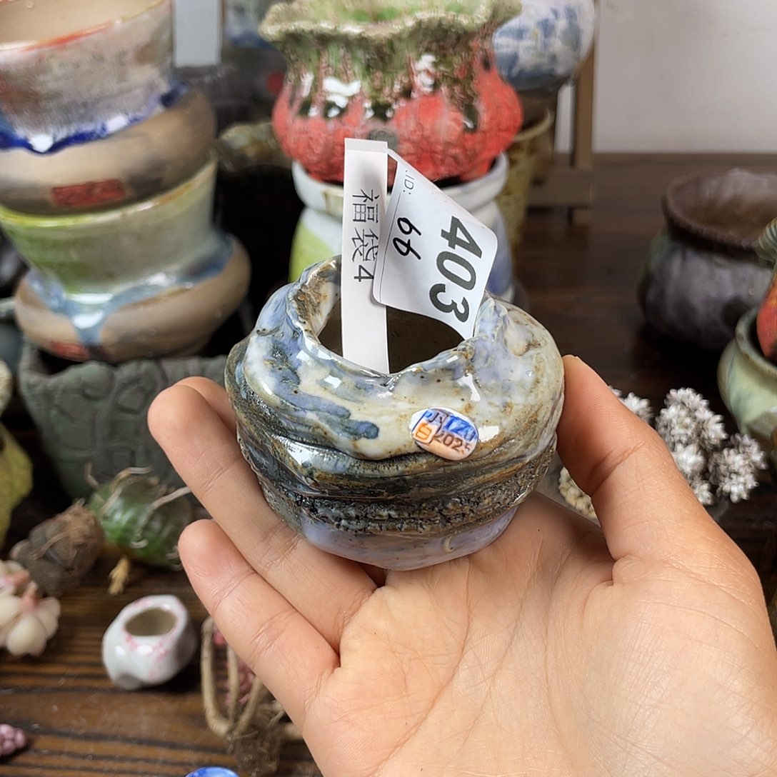 *****恭喜中奖跨年福利  坛子姐花盆