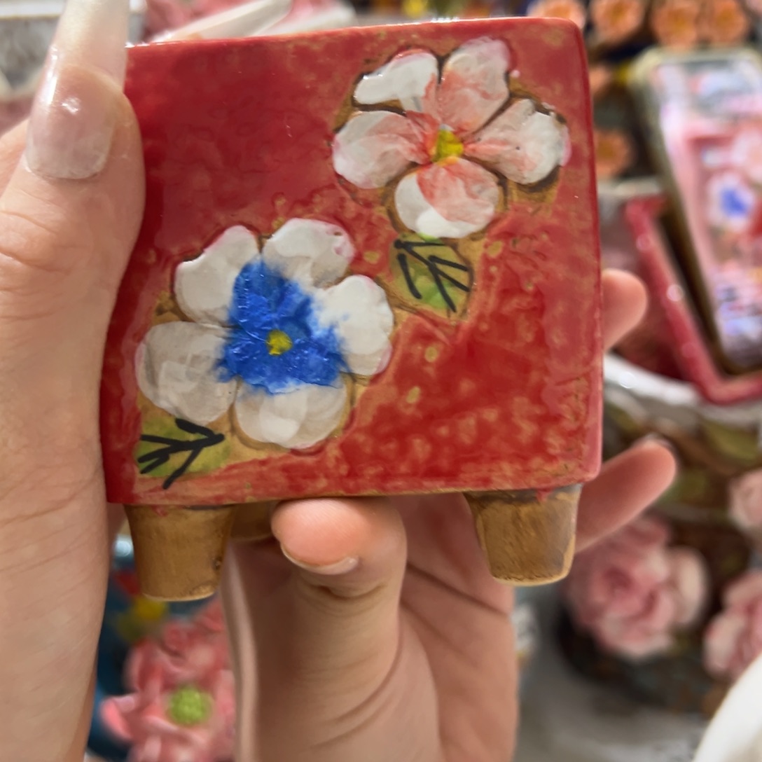 爱退拉黑多肉满20发货