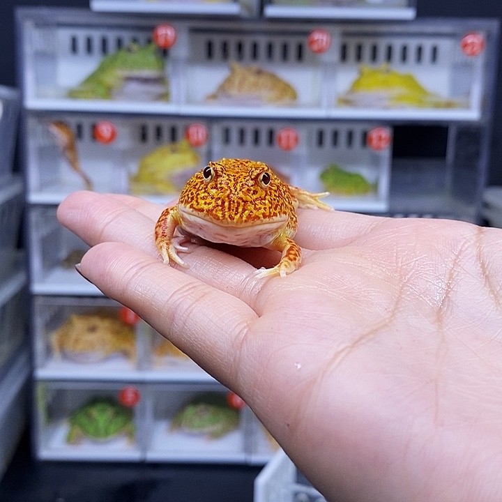 特价秒杀活动地址