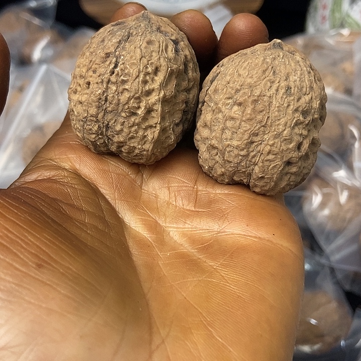 把件文玩核桃云南铁核桃基地20