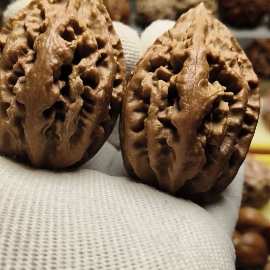 吊坠文玩核桃大楸核桃8号