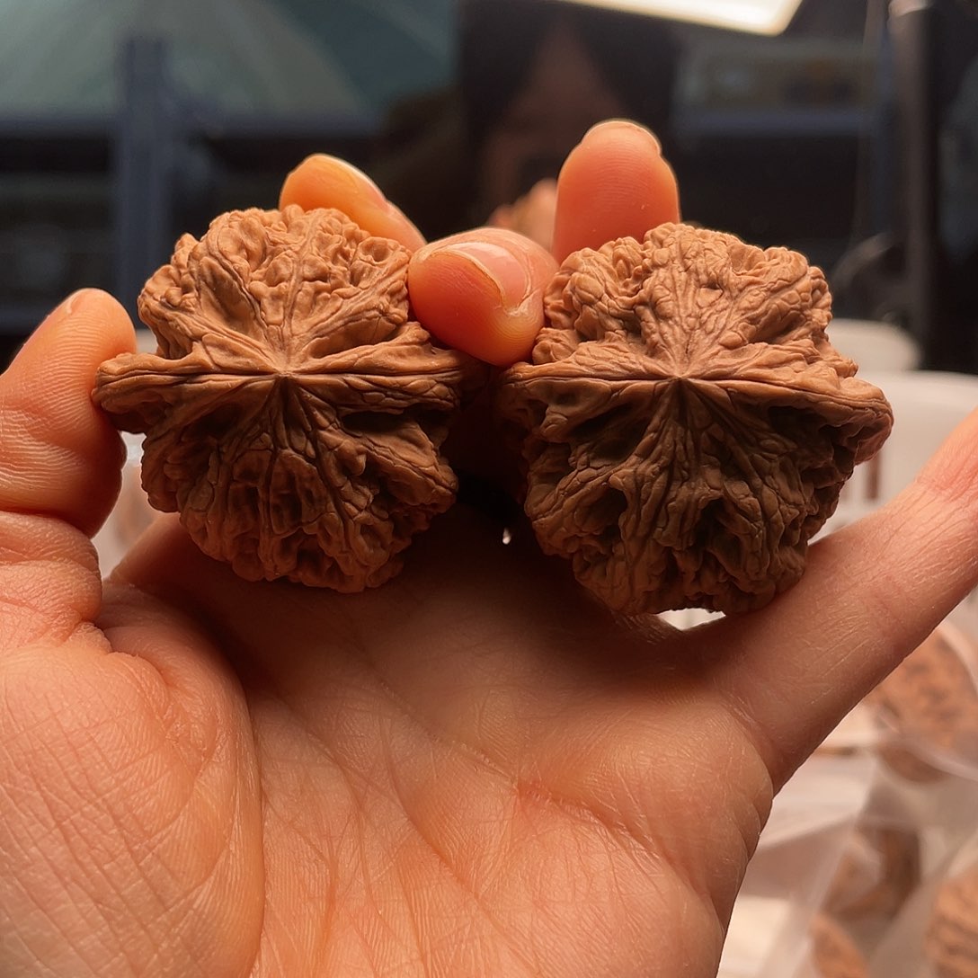 粗筋全品45个小时