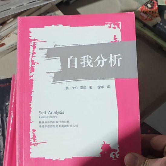 自我分析，卡伦霍尼著的一本。