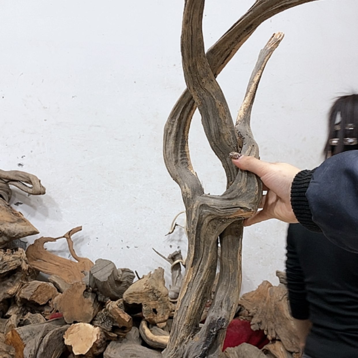 【闪购商品】柏木隋****下我们都是好孩子