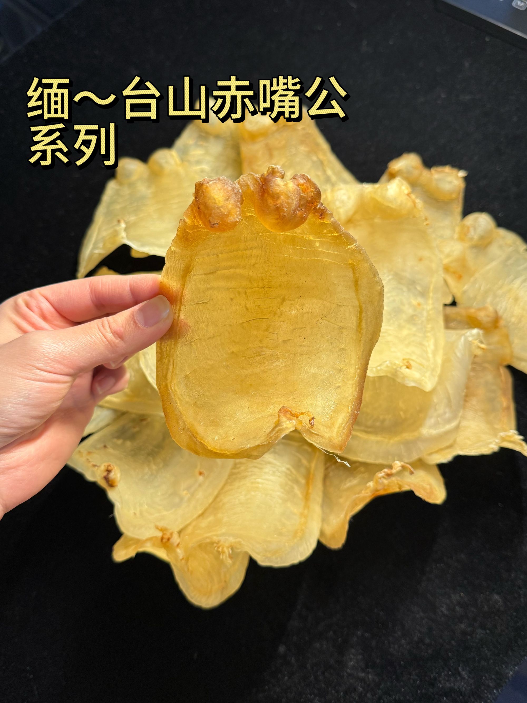 渔宝汇-精选缅~台山赤嘴公
