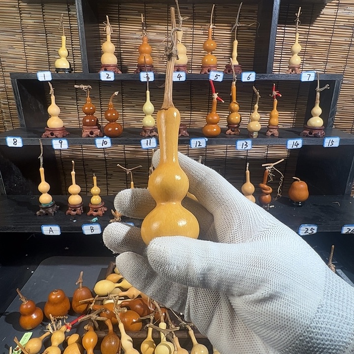 ****摇蚂蚁蚂蚁蚂蚁蚂蚁