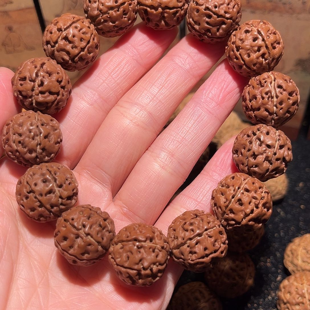 手串金刚菩提7瓣卡19，19号