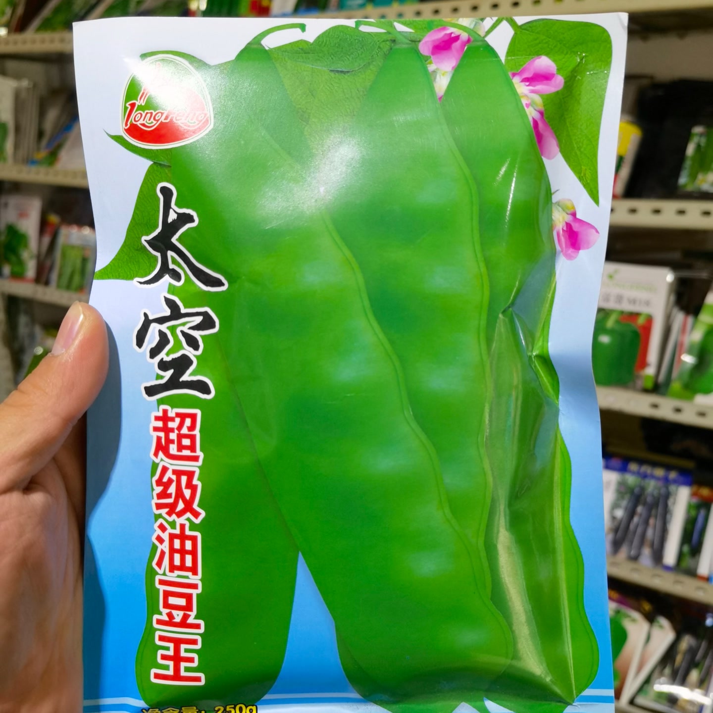 太空超级油豆王，纯油豆，半斤装绿油豆种子