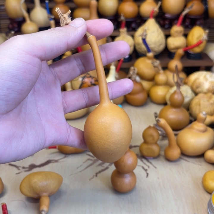 蚂蚁肚独霸厚皮响籽5