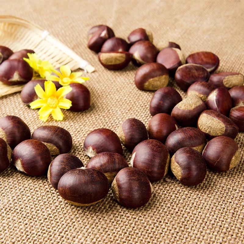 【小李书记优选】山东特产板栗新鲜生现摘现发软糯香甜皮薄栗香
