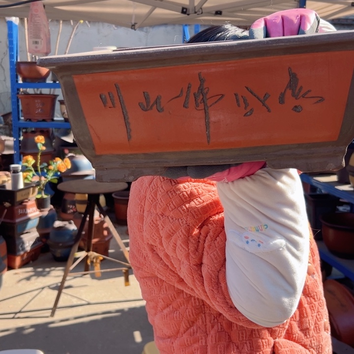 31红马槽花盆花盆花盆花盆