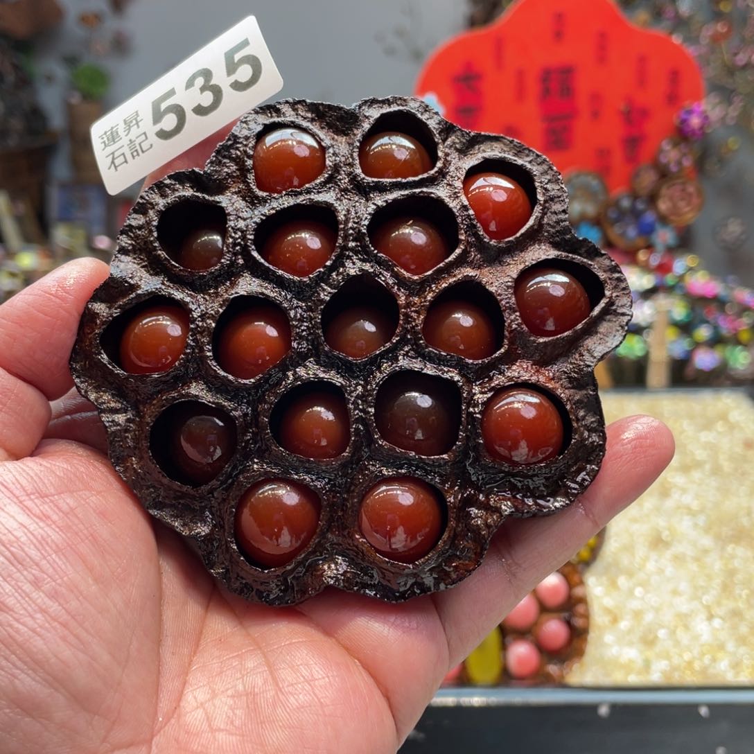 核桃木/黑胡桃（胡桃木）535能动