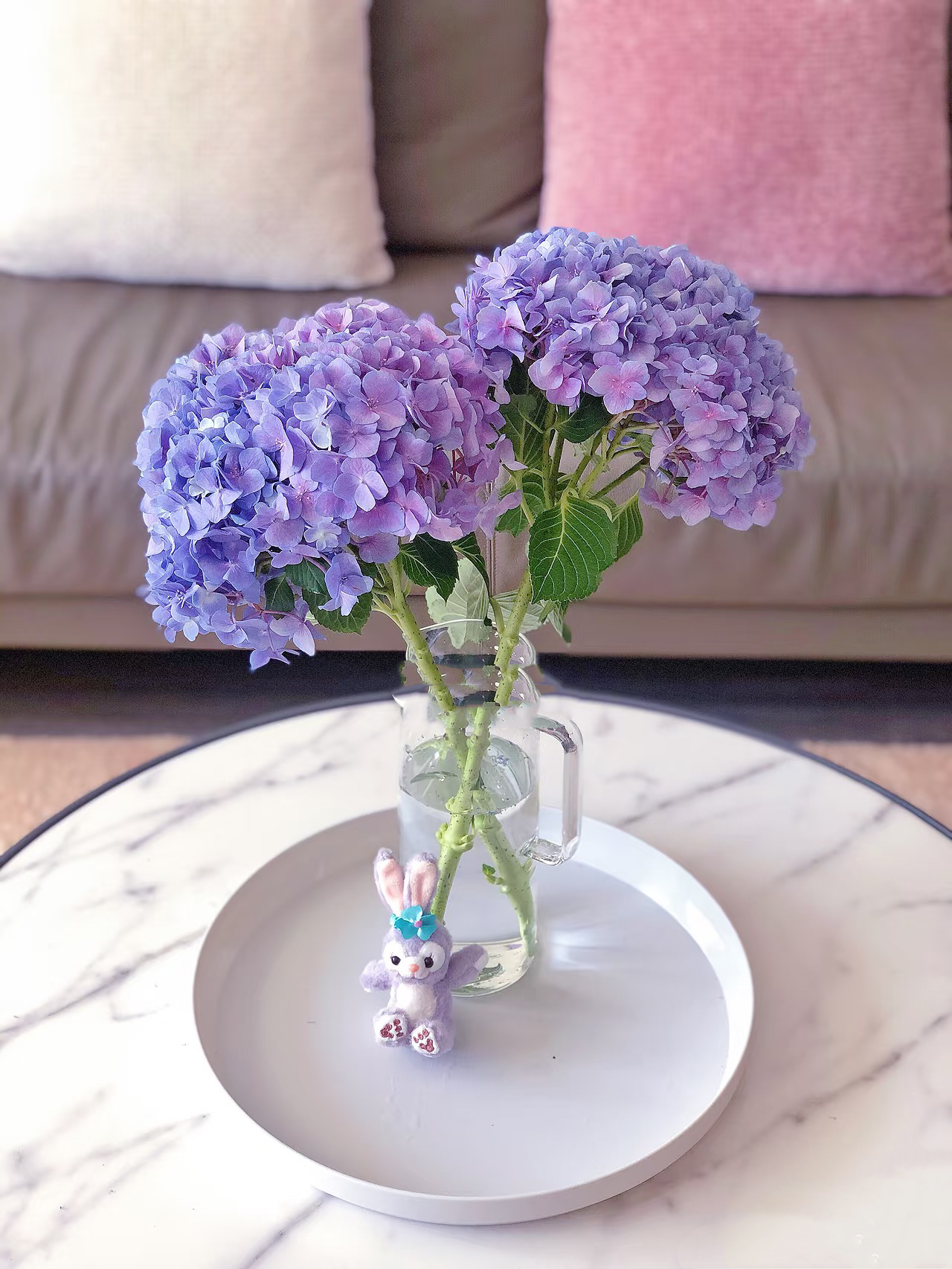 【买一送一】小头粉紫色绣球     云南基地鲜花   基地直发