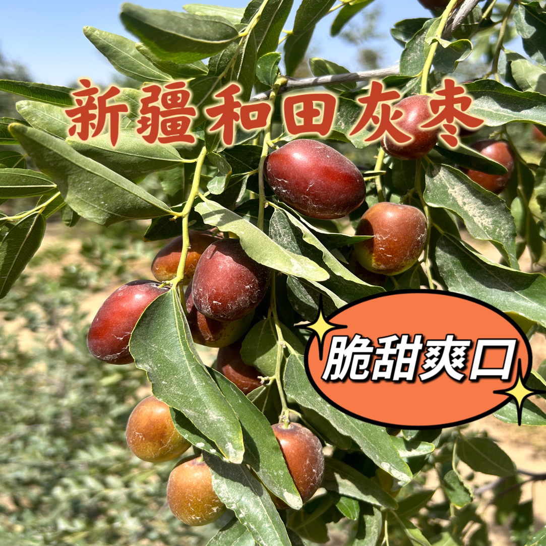 新疆和田灰枣直接吃脆甜 蒸着吃软糯香甜 当季现采现摘航空包邮