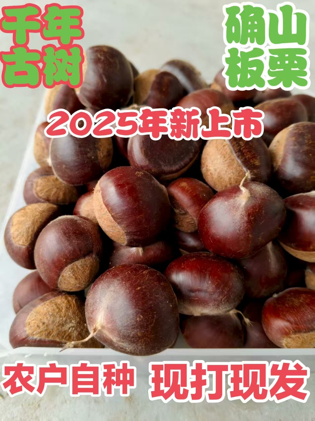 正宗千年老树板栗毛栗子生板栗新鲜香甜颗颗饱满香糯难剥皮零食