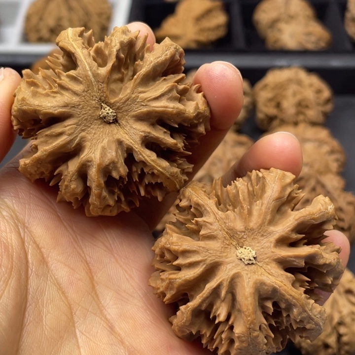 吊坠文玩核桃突突突突突突突突