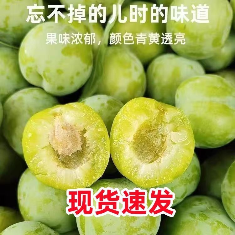正宗青脆李新鲜当季水果