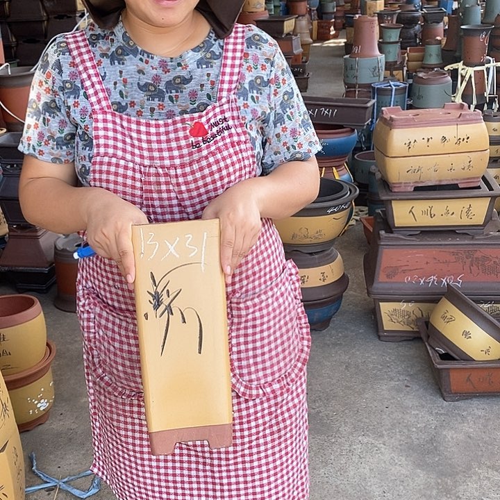 紫砂花盆紫砂花盆盆栽花卉苗木种植