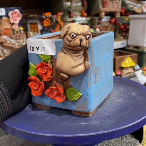 【闪购商品】          