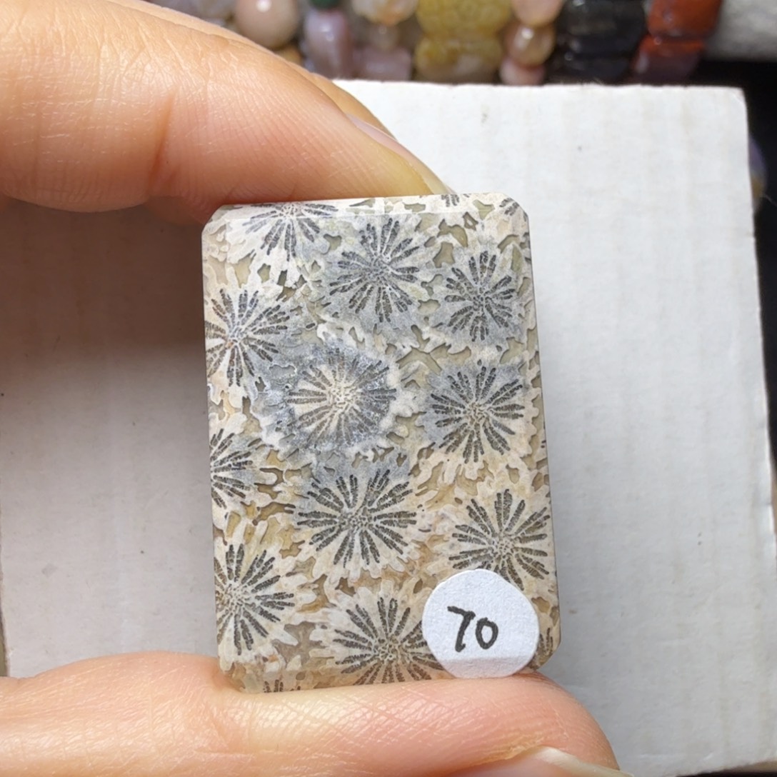 硅化玉未镶嵌清晰的奇色